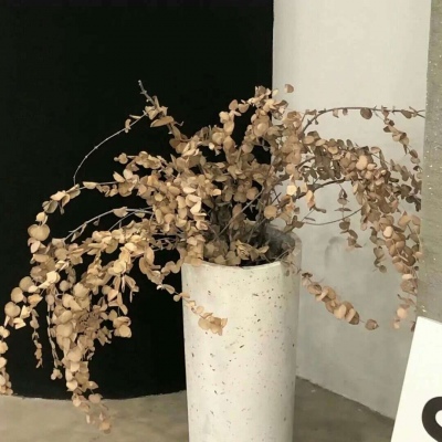 丰宁FurryQQ群介绍